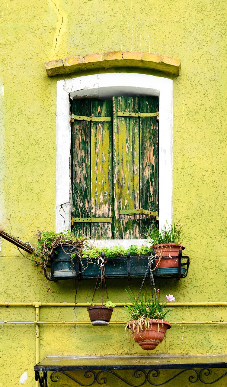 green window, house, balcony plants, wall, building, picturesque, shutters